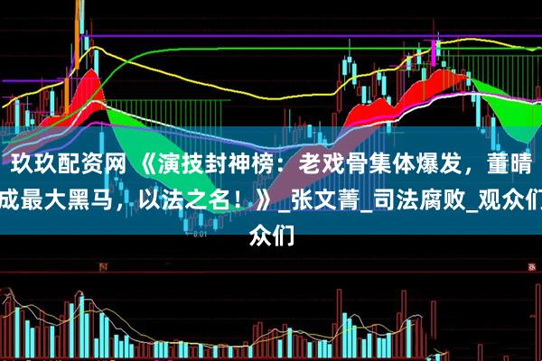 玖玖配资网 《演技封神榜：老戏骨集体爆发，董晴成最大黑马，以法之名！》_张文菁_司法腐败_观众们