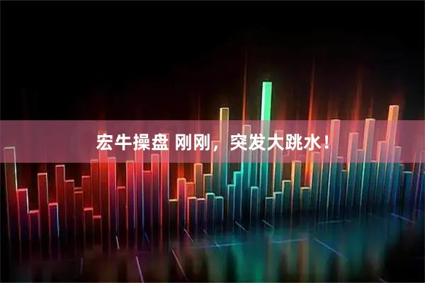 宏牛操盘 刚刚，突发大跳水！